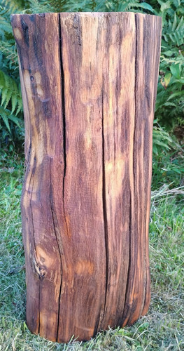 Rustic tree log - drinks, table