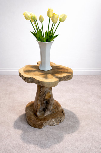 Solid teak root coffee table - teak,