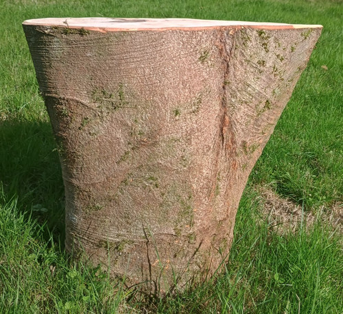 Tree stump log table - , farmhouse
