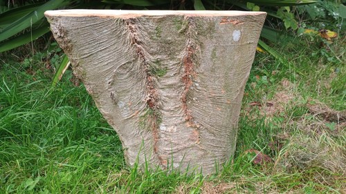 Tree stump log - table, farmhouse